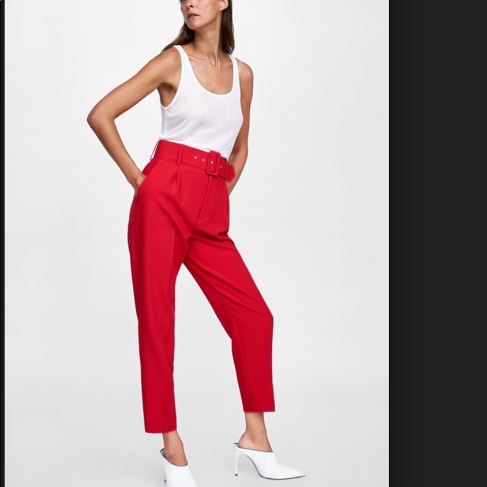 NWT Zara trouser